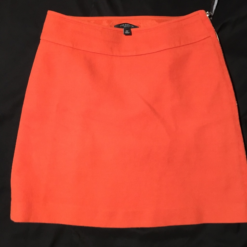 Burnt Orange Mini Skirt.